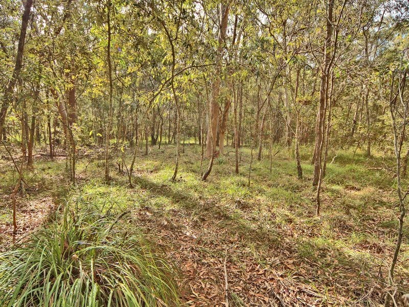 315 Backwater Road, Greenbank QLD 4124