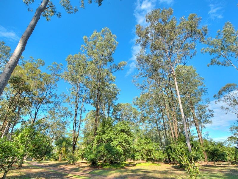 148-156 Backwater Road, Greenbank QLD 4124