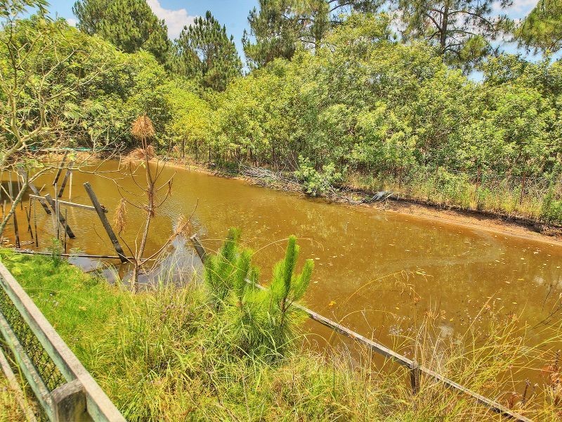 146 Featherstone Road, Chambers Flat QLD 4133