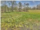 216 Teviot Road, North Maclean QLD 4280