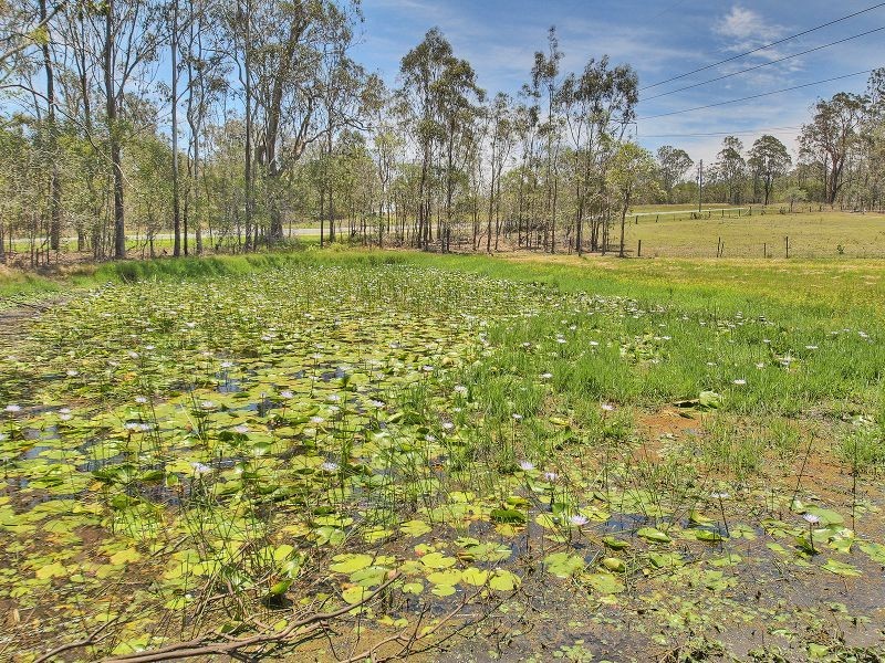 216 Teviot Road, North Maclean QLD 4280