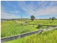 99 Worip Drive, Beaudesert QLD 4285