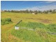 99 Worip Drive, Beaudesert QLD 4285