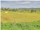 99 Worip Drive, Beaudesert QLD 4285