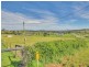 99 Worip Drive, Beaudesert QLD 4285
