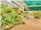 1 Curzon Street, Browns Plains QLD 4118