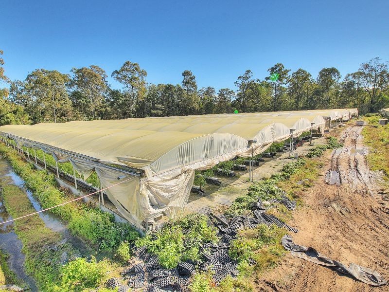 37 Paradise Road, Forestdale QLD 4118