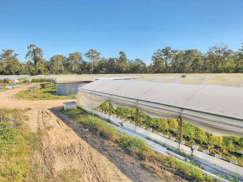 37 Paradise Road, Forestdale QLD 4118