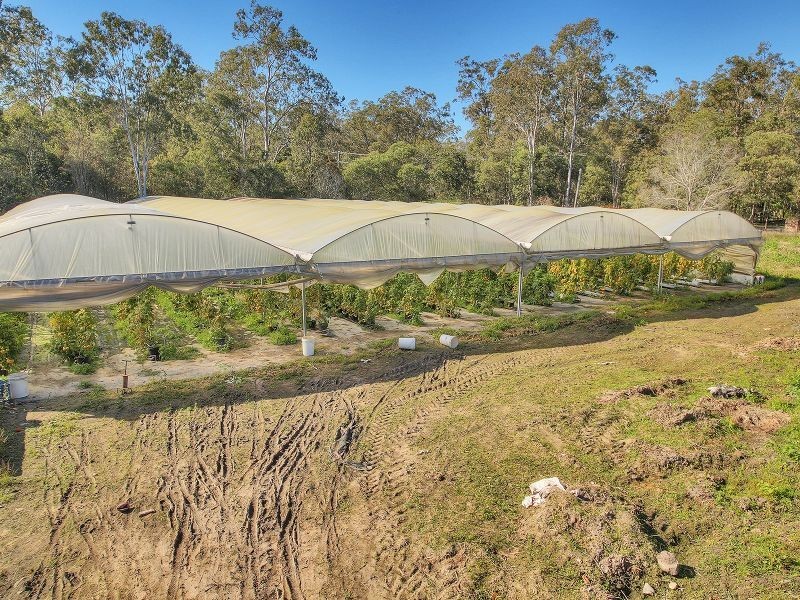 37 Paradise Road, Forestdale QLD 4118