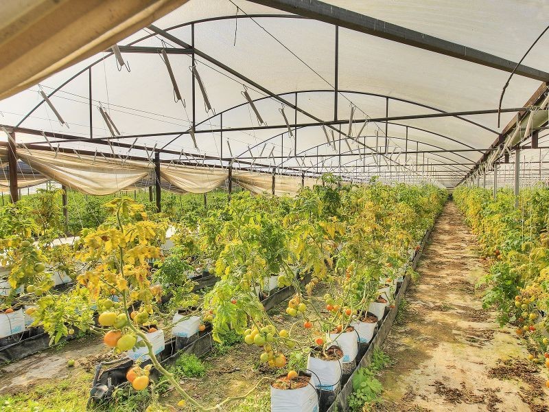 37 Paradise Road, Forestdale QLD 4118