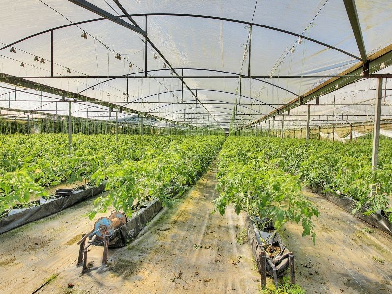 37 Paradise Road, Forestdale QLD 4118