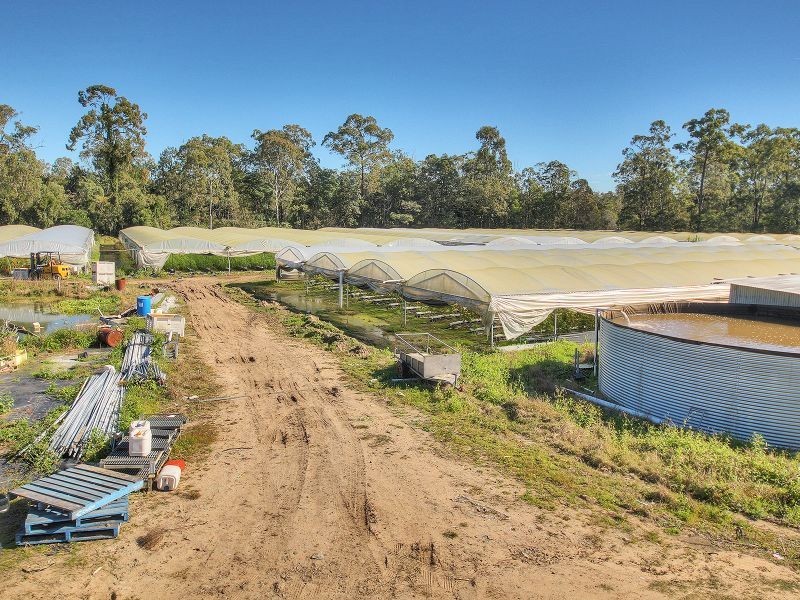 37 Paradise Road, Forestdale QLD 4118