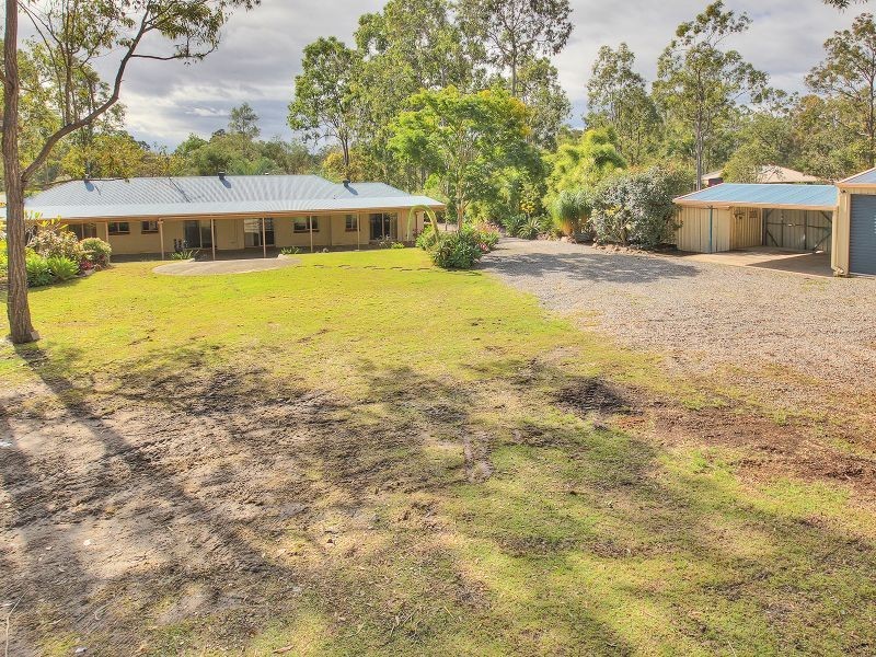 31 Echidna Court, Greenbank QLD 4124