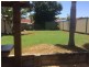 11 Homebush Drive, Regents Park QLD 4118