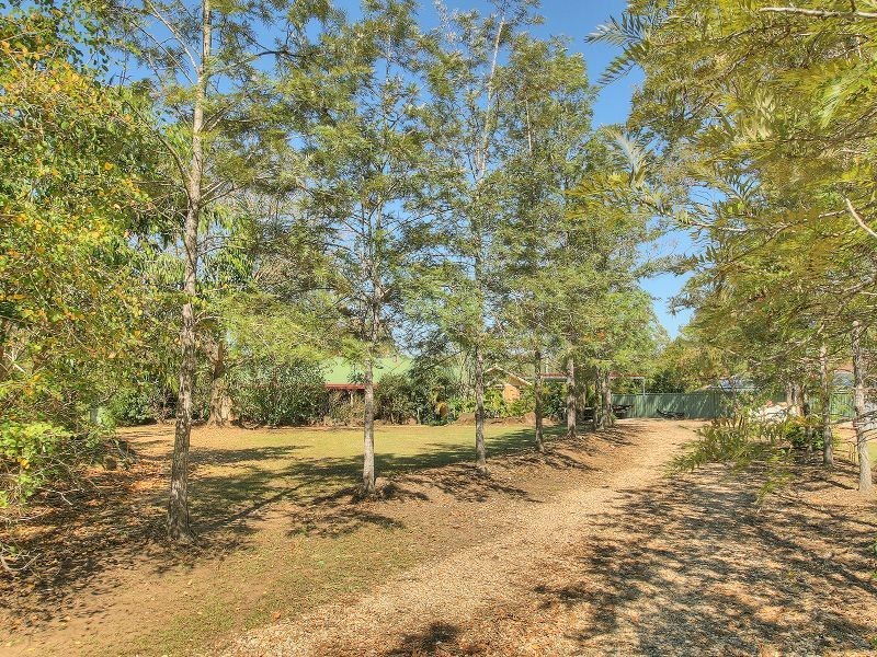 113 Bluff Road, Cedar Vale QLD 4285