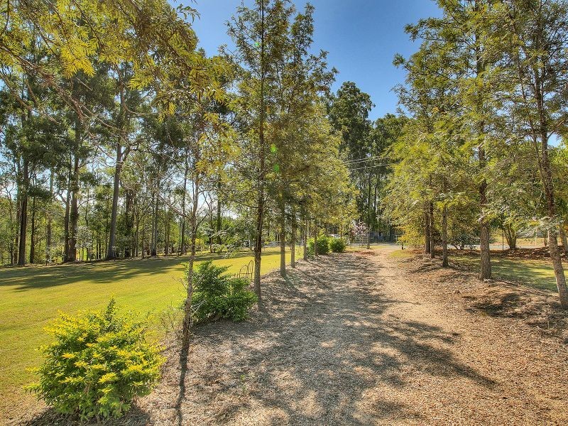 113 Bluff Road, Cedar Vale QLD 4285