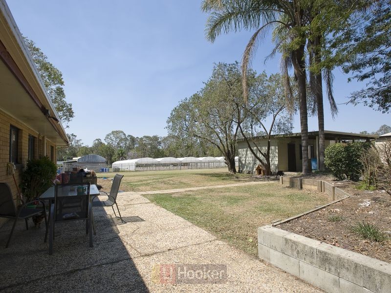 272 Chambers Flat Road, Logan Reserve QLD 4133