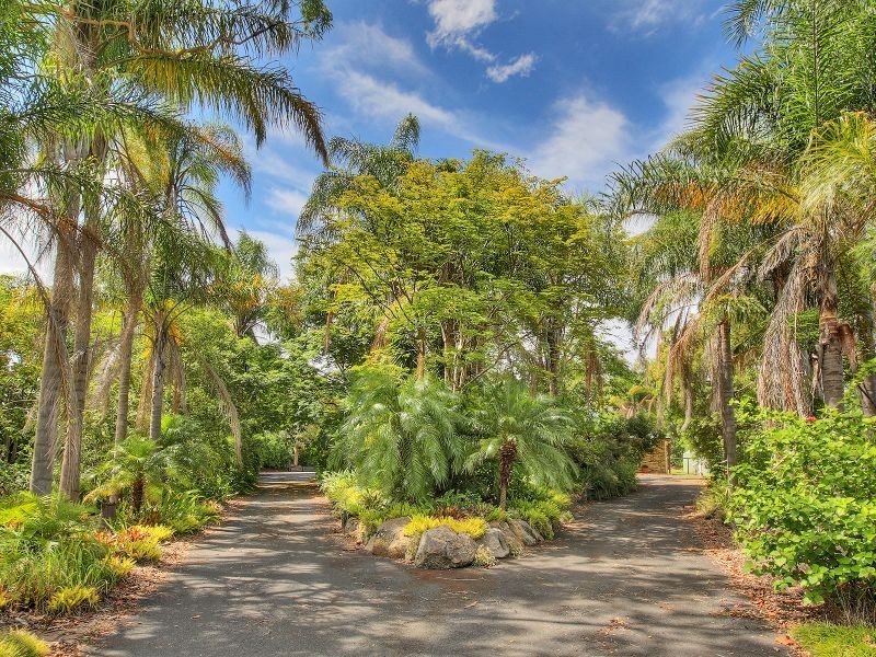 143 Merluna Road, Park Ridge South QLD 4125