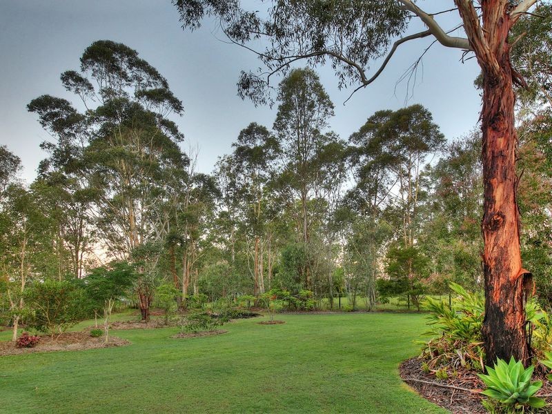 17 Lobelia Court, New Beith QLD 4124