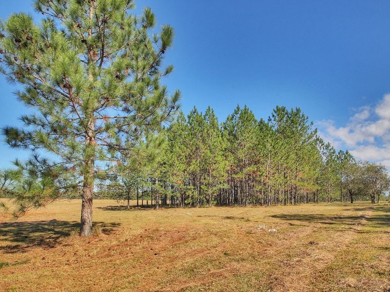 97 Greenvale Road, Chambers Flat QLD 4133