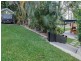 3 Ponderosa Street, Hillcrest QLD 4118