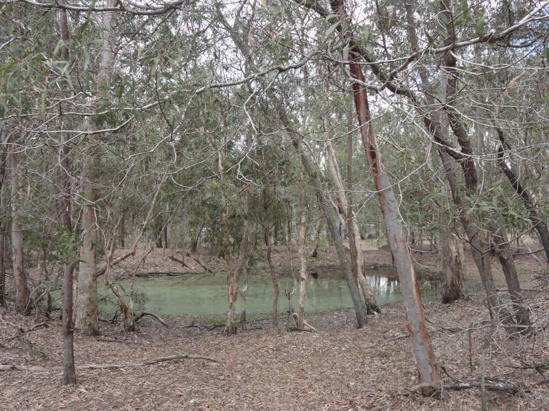 687 Teviot Road, North Maclean QLD 4280