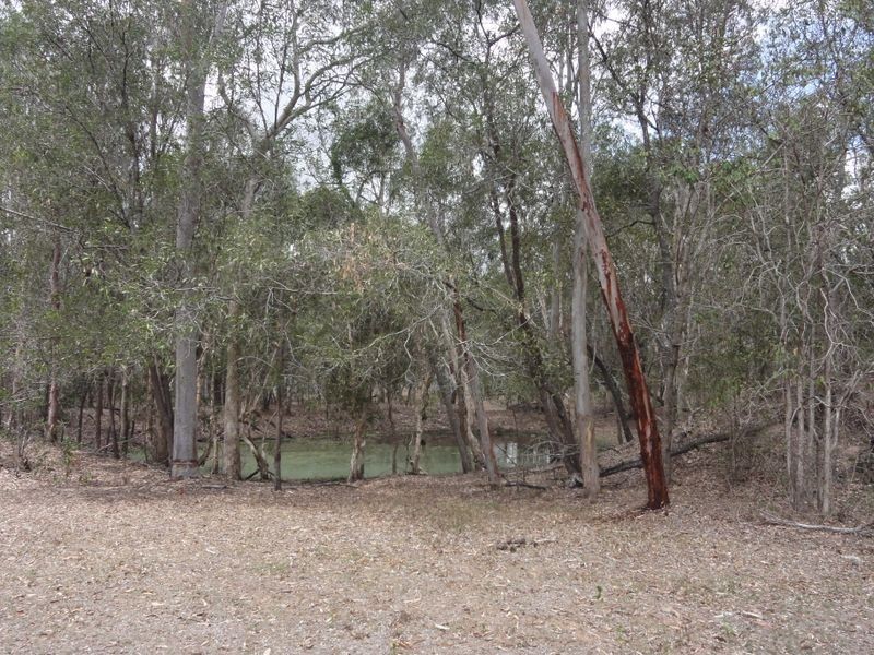 687 Teviot Road, North Maclean QLD 4280