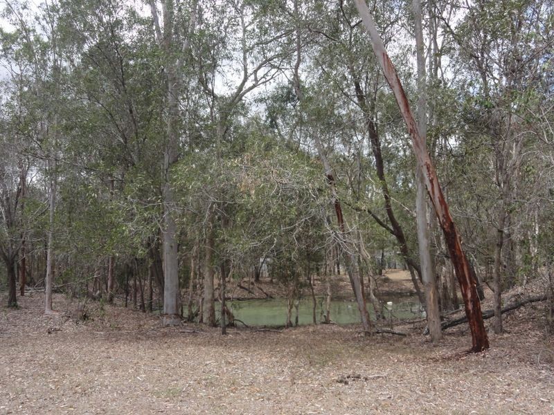 687 Teviot Road, North Maclean QLD 4280