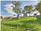 14 Forestglen Crescent, Browns Plains QLD 4118