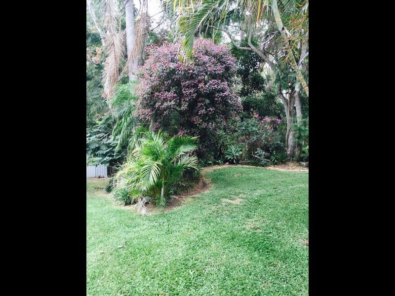 71 Radiata Street, Hillcrest QLD 4118