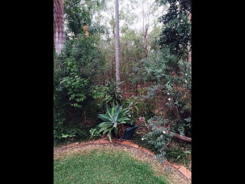 71 Radiata Street, Hillcrest QLD 4118