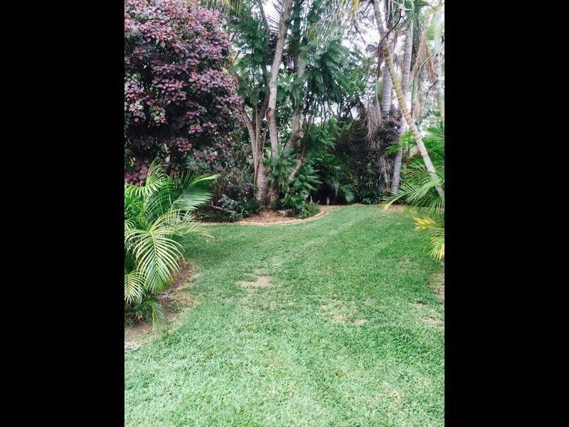 71 Radiata Street, Hillcrest QLD 4118
