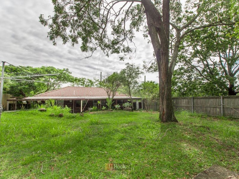 62 Radiata Street, Hillcrest QLD 4118