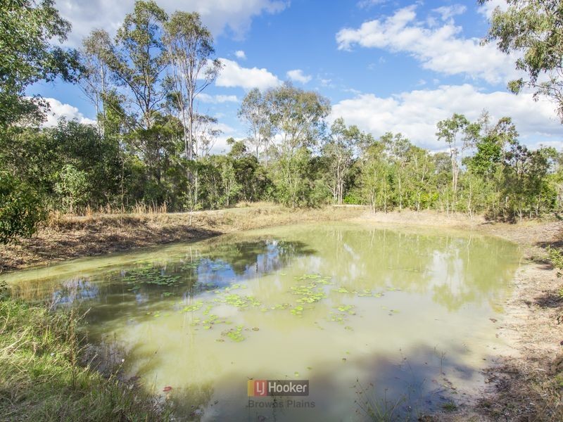 6 Pollen Court, Park Ridge South QLD 4125