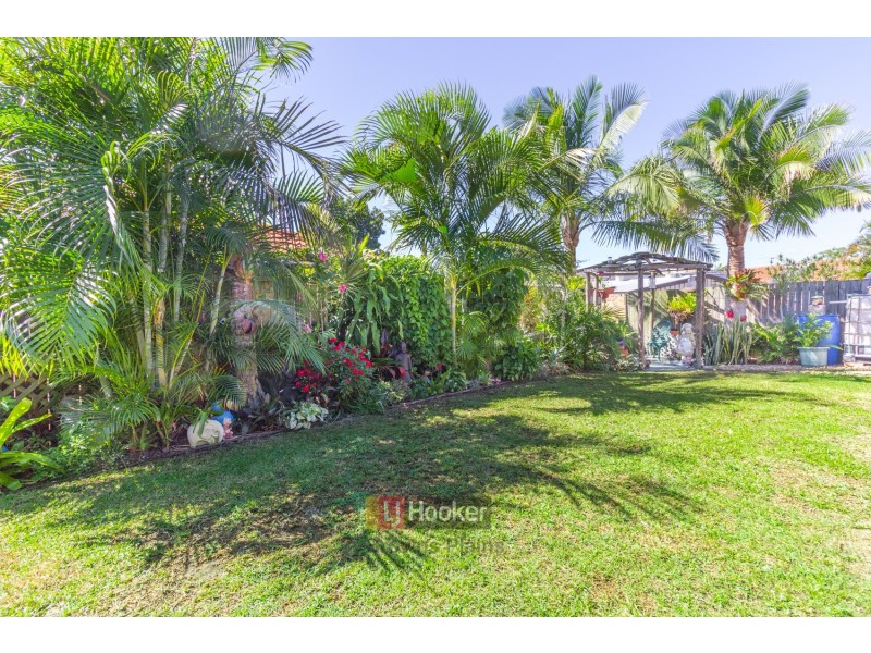 41 Murrumbidgee Street, Hillcrest QLD 4118
