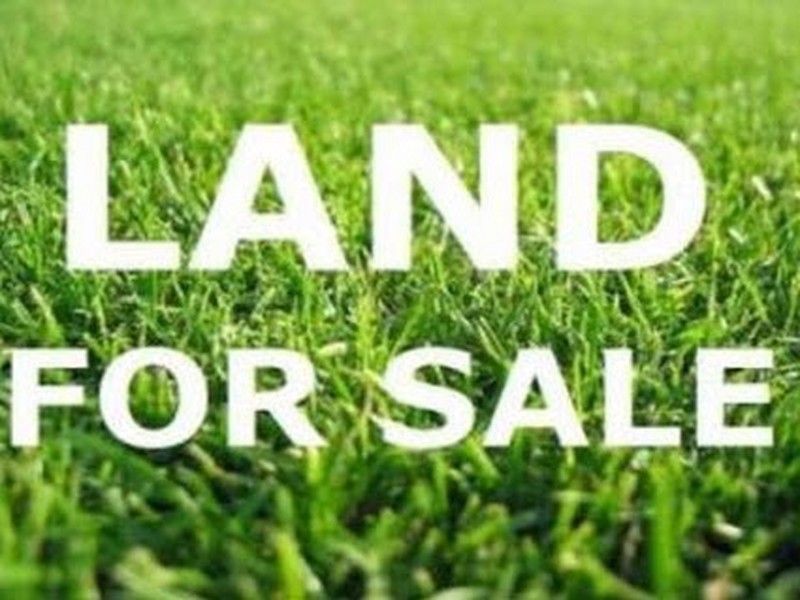 Lot 2/21 Blackbean Street, Marsden QLD 4132