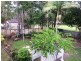 19 Parkland Avenue, Browns Plains QLD 4118