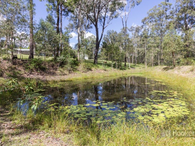 1033 Teviot Road, South Maclean QLD 4280