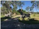 51 Dandaraga Court, Chambers Flat QLD 4133