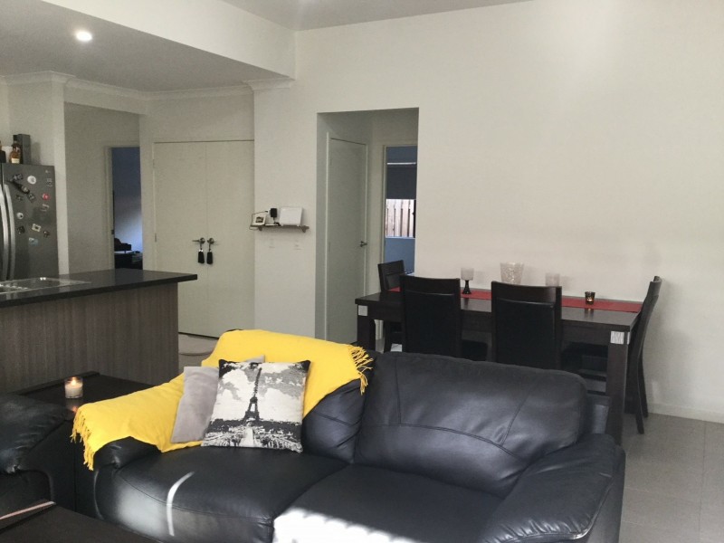 45 Mount Barney Crescent, Park Ridge QLD 4125