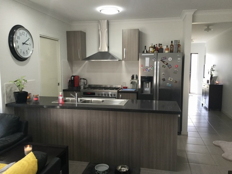 45 Mount Barney Crescent, Park Ridge QLD 4125