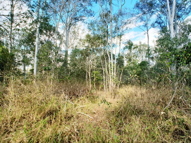 248 Backwater Road, Greenbank QLD 4124