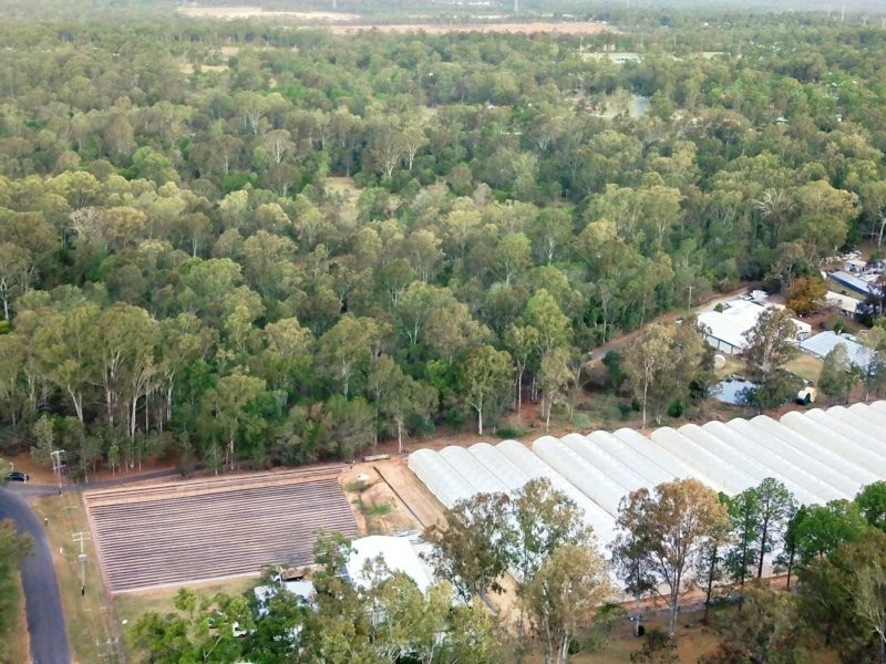248 Backwater Road, Greenbank QLD 4124