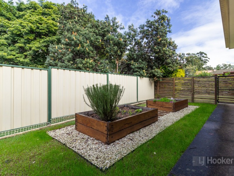 19 Teasel Crescent, Forest Lake QLD 4078