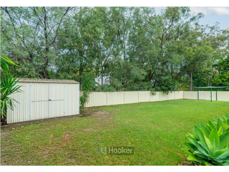 19 Teasel Crescent, Forest Lake QLD 4078