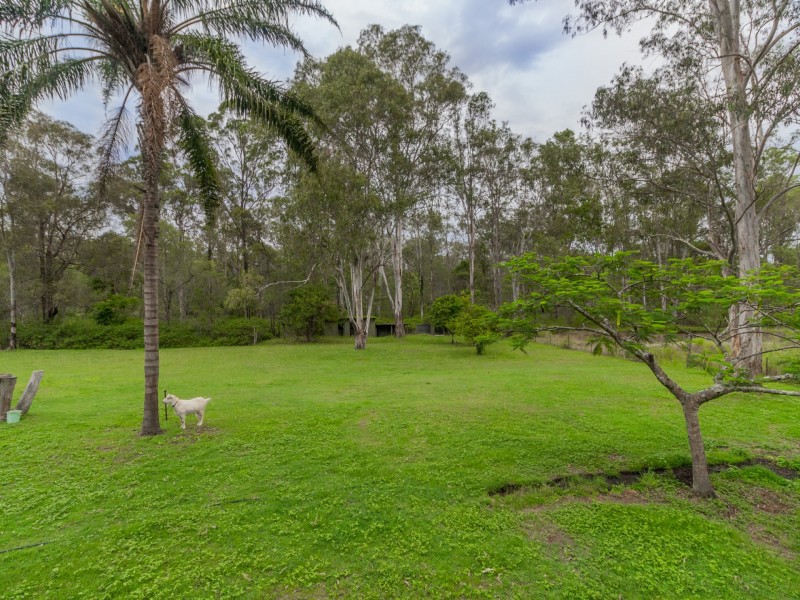 50 Condamine Drive, Logan Village QLD 4207