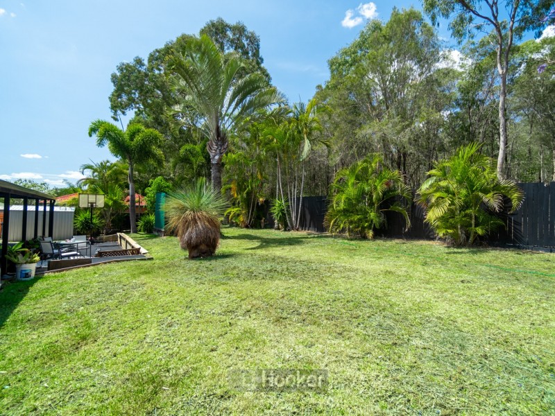 93 Linaria Circuit, Drewvale QLD 4116