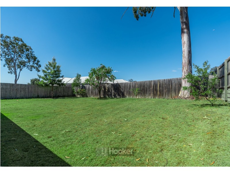 22 Lachlan Lane, Hillcrest QLD 4118