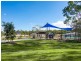 2 Eucalyptus Street, Greenbank QLD 4124