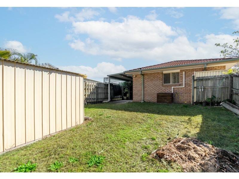 2 Tammar Close, Doolandella QLD 4077